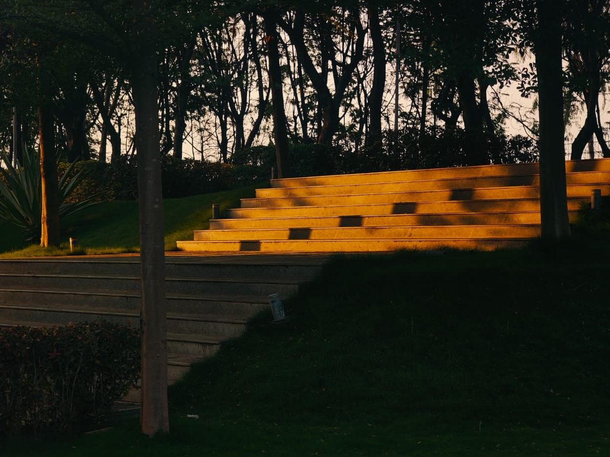 The amphitheatre steps catching the last golden light of the day