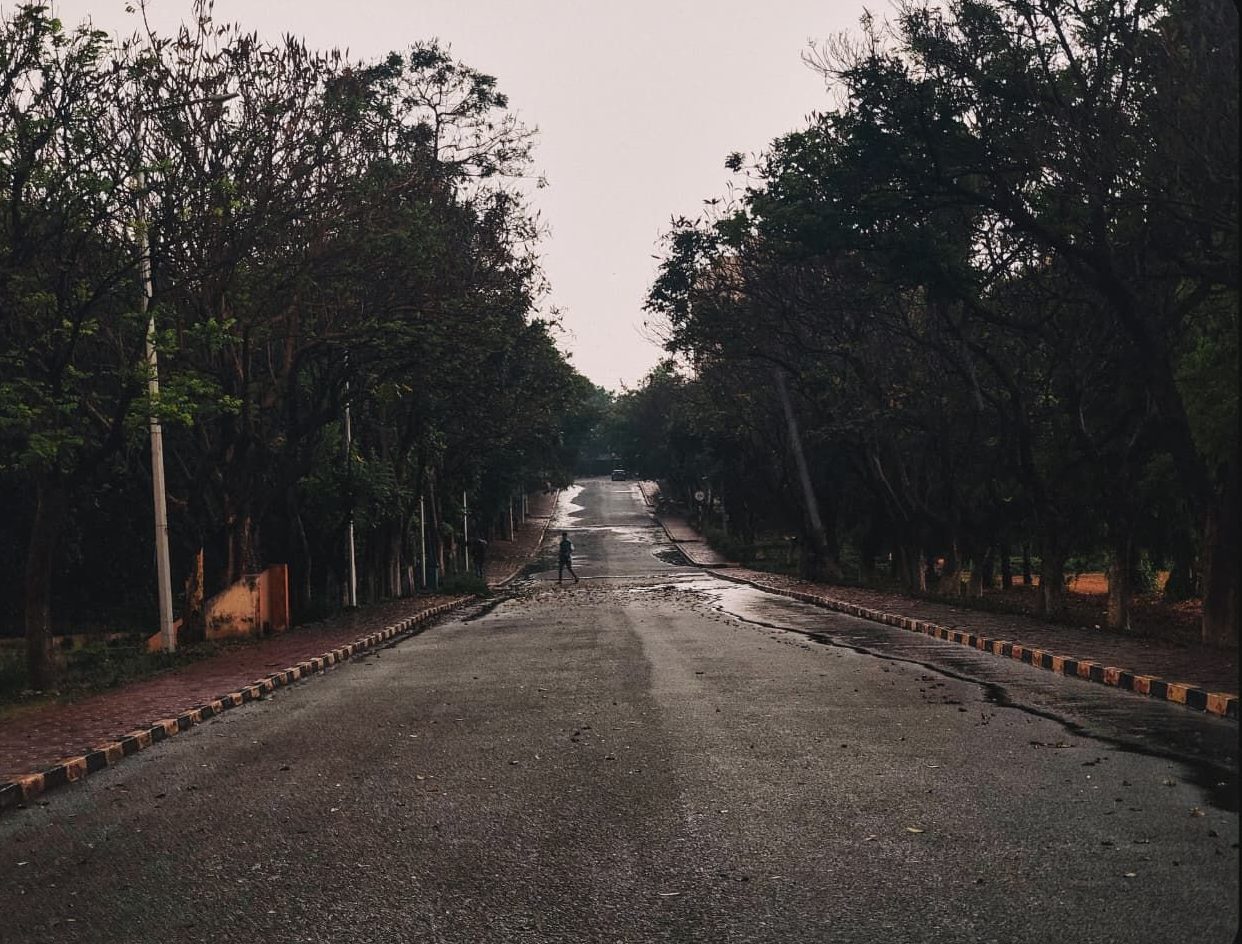 A quiet campus road dappled with golden light under a canopy of trees